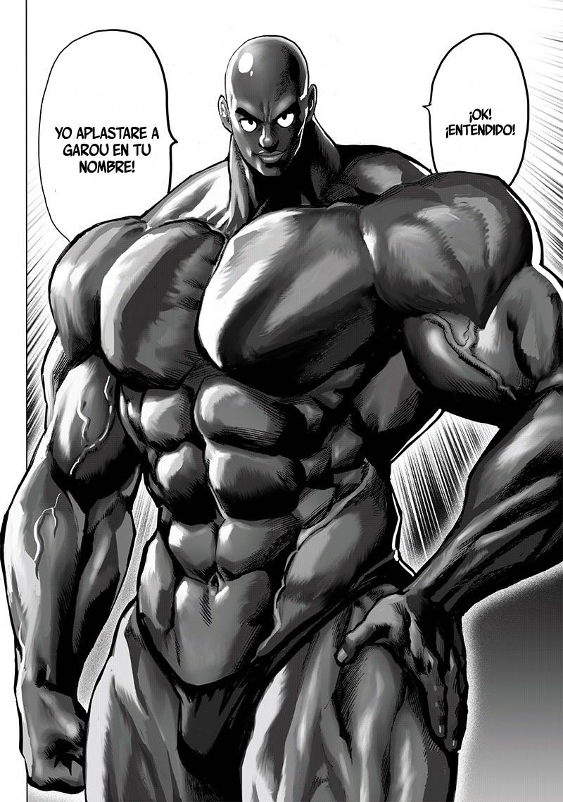 One PunchMan 165 MANGA ESPAÑOL ONLINE