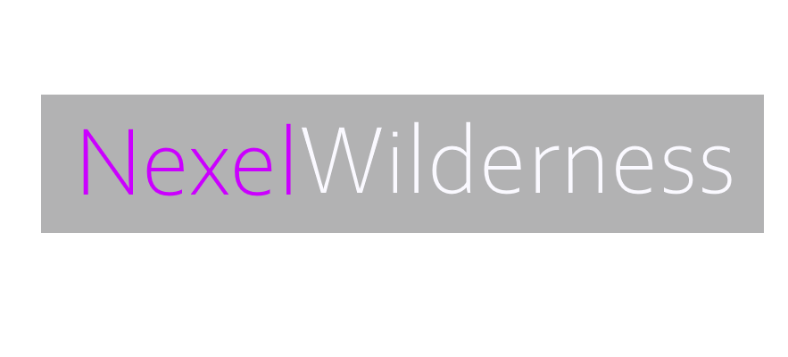 NexelWilderness An advanced Wild plugin [1.13 1.17.X] SpigotMC