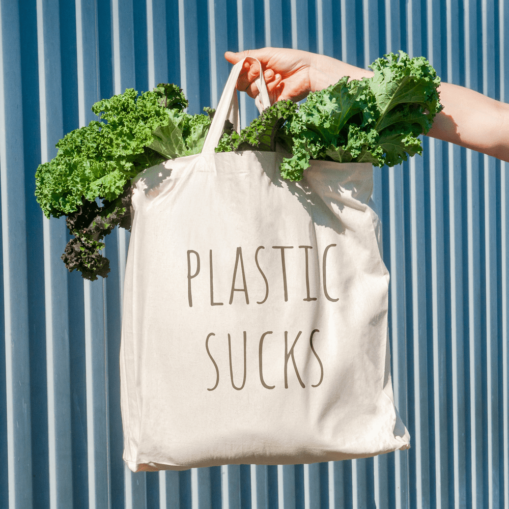How You Can Celebrate Plastic Free July Eco Health Guide