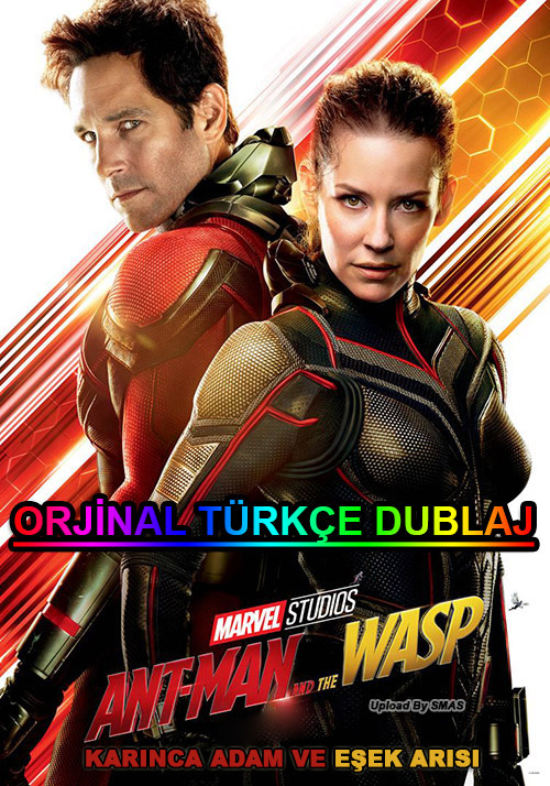 Karınca Adam ve Eşek Arısı AntMan and the Wasp 2018 BDRip XviD