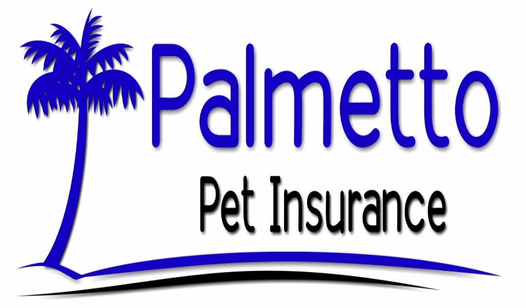 The Hidden Truth on The World’s Largest Pet Store Revealed Whale Love