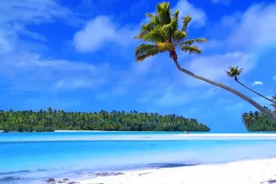 The Island Canvas Art by Unknown Artist iCanvas