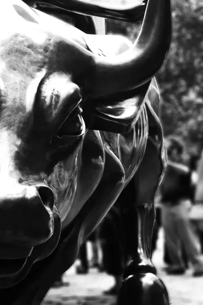 Wall Street Bull Closeup Canvas Wall Art by Unknown Artist iCanvas