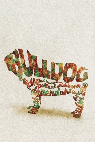 British Bulldog Canvas Artwork by Ayse Deniz Akerman iCanvas