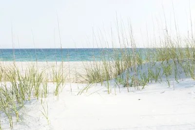 Grayton Beach Florida Canvas Art by Ann Hudec iCanvas