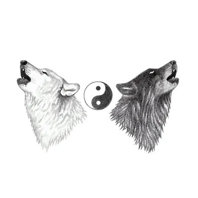 Black Wolf White Wolf Art Print by Andrea Hrnjak iCanvas