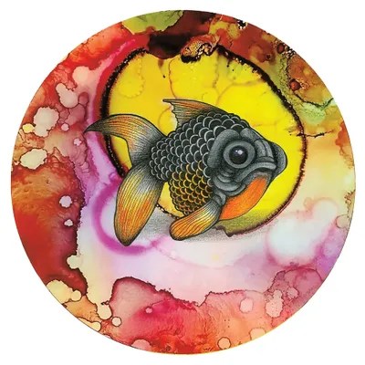 Little Black Moor Canvas Artwork by Ann Hutchinson iCanvas