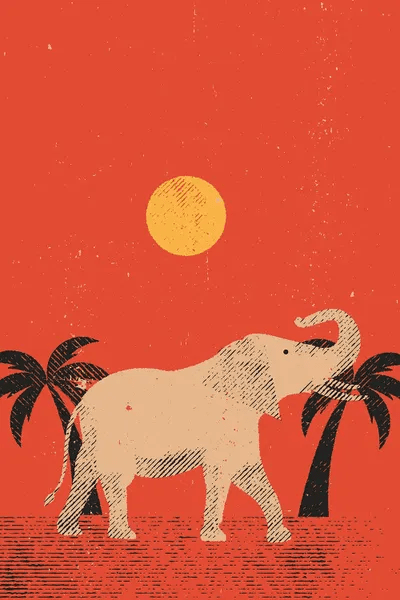 Elephant Canvas Art by Amer Karic iCanvas