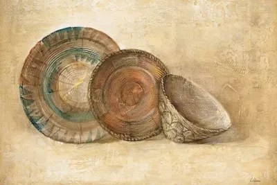 Woven Vessels I Canvas Art Print by Albena Hristova iCanvas