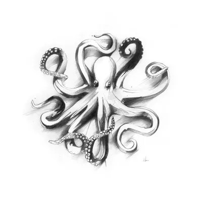 Flat Octopus Canvas Print by Alexis Marcou iCanvas