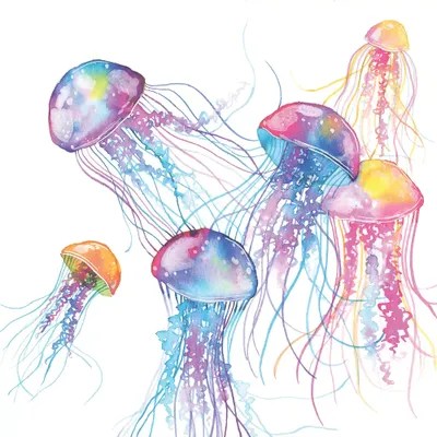 Jellyfish Canvas Wall Art by Ana Victoria Calderón iCanvas