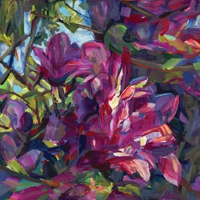 Pink Magnolia Canvas Artwork by Brooke Borcherding iCanvas