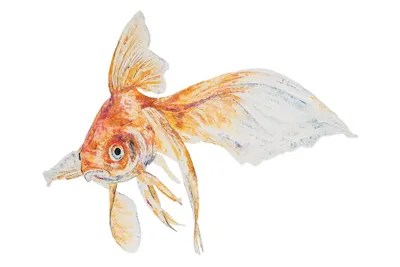 Chip Canvas Art by Becksy iCanvas