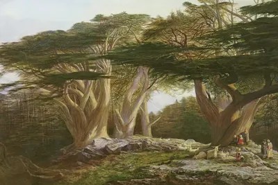 The Cedars of Lebanon, 1861 Canvas Print by Edward Lear iCanvas