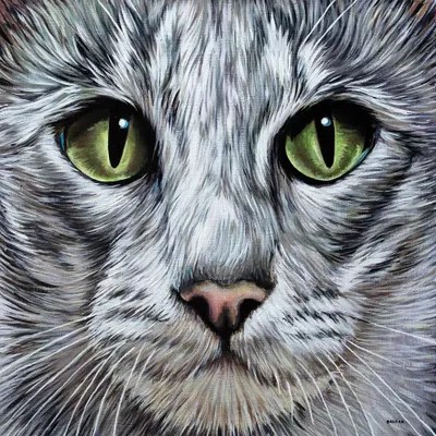 Milo Canvas Wall Art by Clara Bastian iCanvas