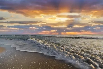 Loose Canvas Prints Unstretched Canvas Printing Service, 55 OFF