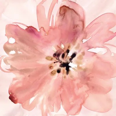 A Little Blush Canvas Wall Art by Carol Robinson iCanvas