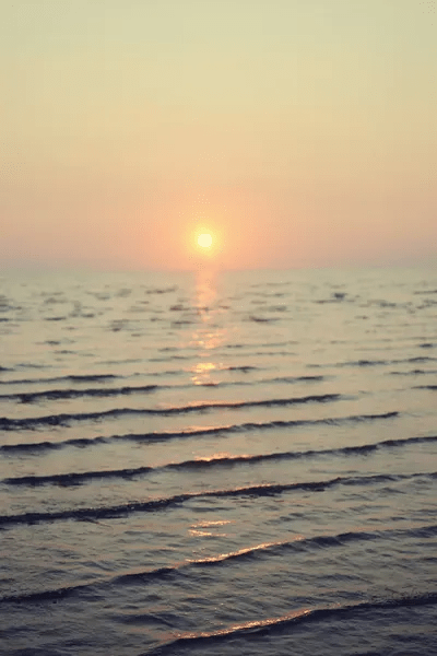 Cape Cod Canvas Art by Chelsea Victoria iCanvas