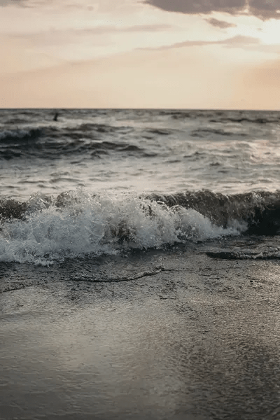 Waves And Surf Canvas Art by Chelsea Victoria iCanvas