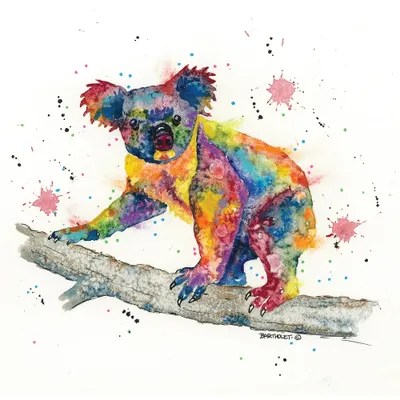 Koala Canvas Wall Art by Dave Bartholet iCanvas