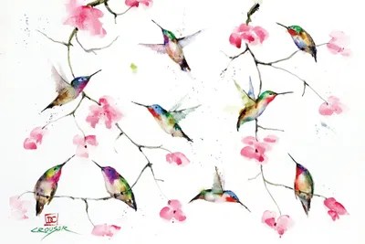 Hummingbird Meeting Canvas Wall Art by Dean Crouser iCanvas