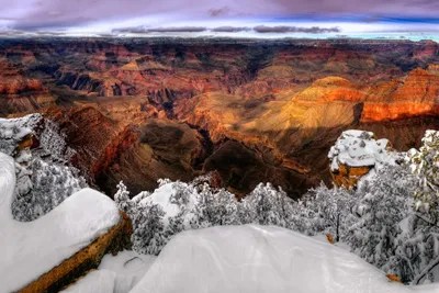 Snowy Grand Canyon VII Canvas Wall Art by David Drost