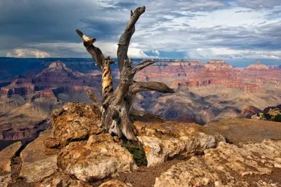 Canyon View V Canvas Art by David Drost iCanvas