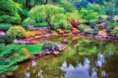 Japanese Gardens Canvas Art by Dennis Frates iCanvas