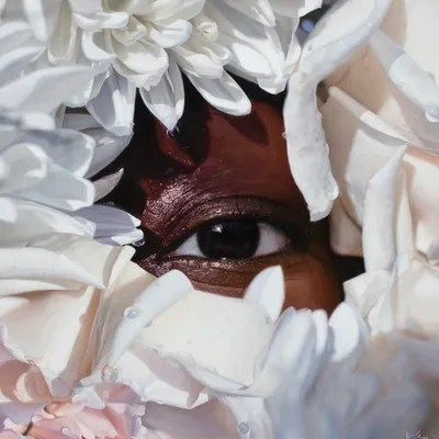 Dark Sparkle Canvas Art Print by David Shepherd iCanvas