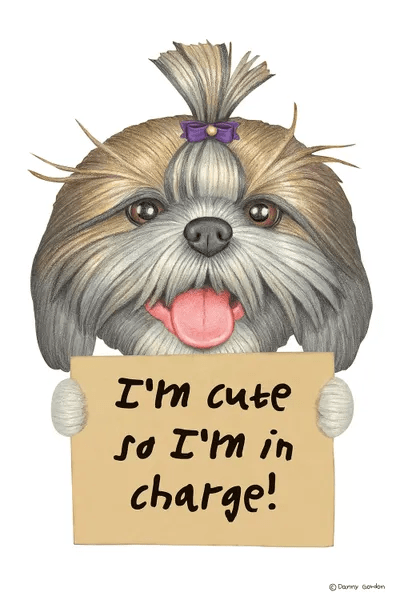 Shih Tzu I'm Cute Art Print by Danny Gordon iCanvas