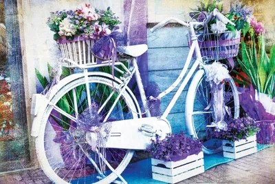 Vintage Floral Bike Canvas Art Print by Maugli iCanvas