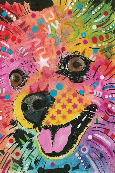 Pomeranian Canvas Art by Dean Russo iCanvas