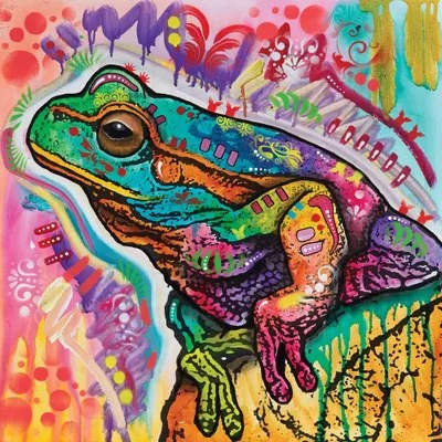 Psychedelic Frog Canvas Wall Art by Dean Russo iCanvas