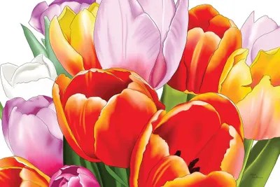 Vibrant Tulips Canvas Wall Art by Elza Fouche iCanvas