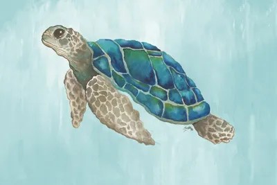 Watercolor Sea Turtle Canvas Art Print by Elizabeth Medley iCanvas