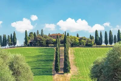 Tuscany Countryside Canvas Art Print by Manjik Pictures iCanvas