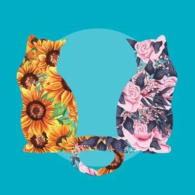 Flower Cats Sunflowers And Roses Canvas Art Flo Art Studio iCanvas