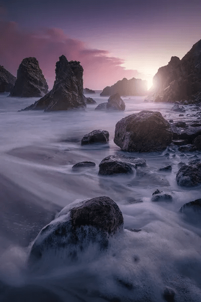 Dark Purple Canvas Wall Art by Fabio Antenore iCanvas