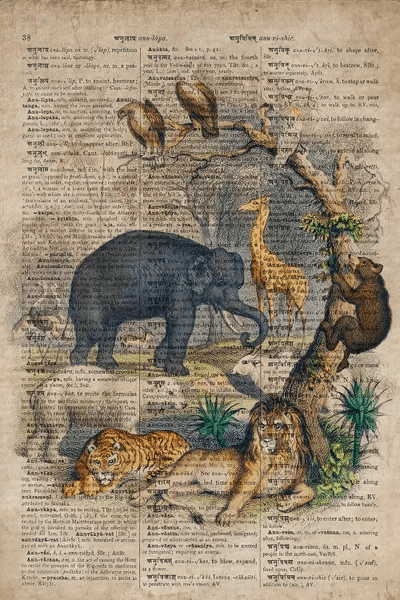 Oliver Goldsmith Jungle Animals Canvas Art by FisherCraft iCanvas
