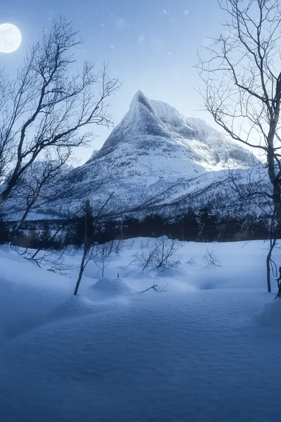 Winter Blues Canvas Wall Art by Fredrik Strømme iCanvas