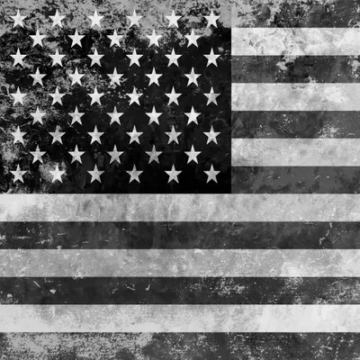 "Grungy" USA Flag Canvas Art by iCanvas iCanvas