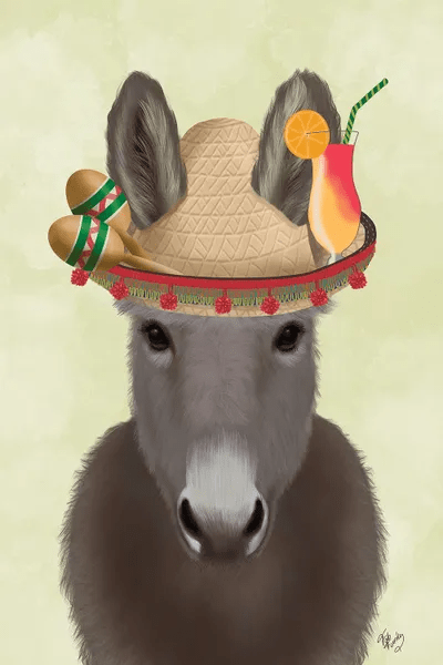 Donkey Sombrero Canvas Print by Fab Funky iCanvas