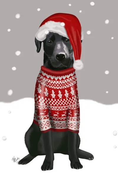 Do Labradors Need Sweaters