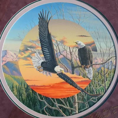 Eagles Canvas Art by Graeme Stevenson iCanvas