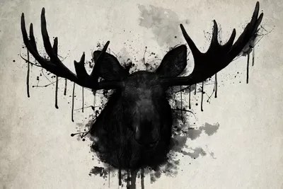 Moose Canvas Wall Art by Nicklas Gustafsson iCanvas