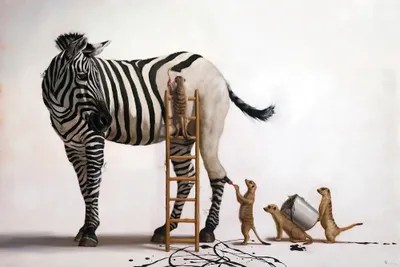 The Paint Job Canvas Art Print by Lucia Heffernan iCanvas