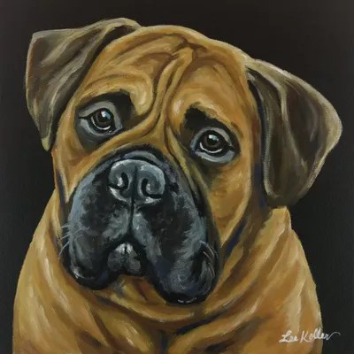 Bull Mastiff Art Print by Hippie Hound Studios iCanvas