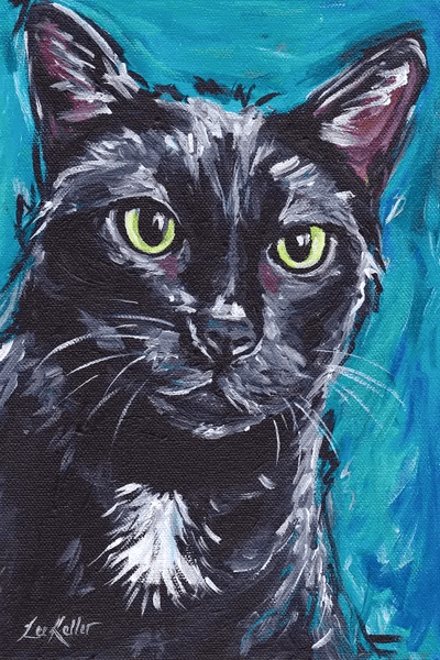 Expressive Black Cat Canvas Art Print Hippie Hound Studios iCanvas