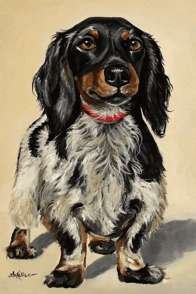 Finn The LongHaired Dachshund Canvas A... Hippie Hound Studios iCanvas