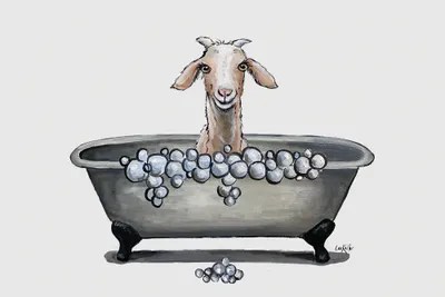 Goat In Bathtub, 'Shyla' The Goat Bathr... Hippie Hound Studios iCanvas